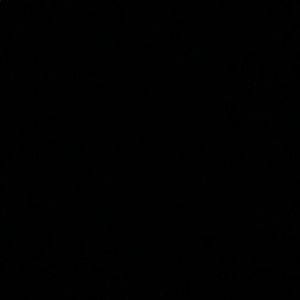 Meet your Posher, Joel